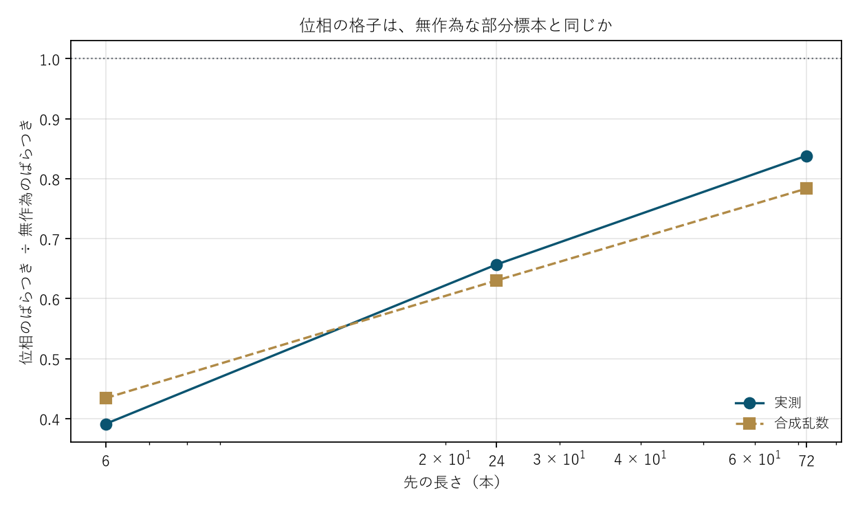 図2 位相の格子は、無作為な部分標本と同じか